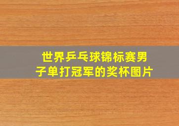 世界乒乓球锦标赛男子单打冠军的奖杯图片