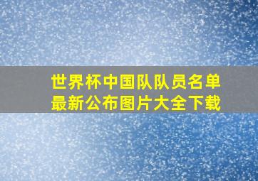 世界杯中国队队员名单最新公布图片大全下载