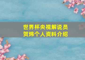 世界杯央视解说员贺炜个人资料介绍