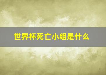 世界杯死亡小组是什么