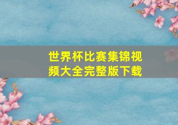 世界杯比赛集锦视频大全完整版下载