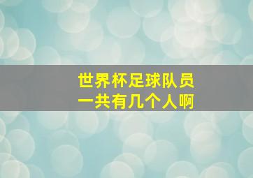 世界杯足球队员一共有几个人啊