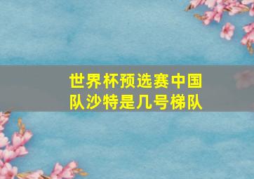 世界杯预选赛中国队沙特是几号梯队