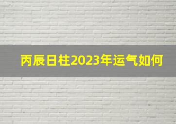 丙辰日柱2023年运气如何