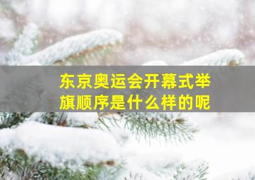 东京奥运会开幕式举旗顺序是什么样的呢