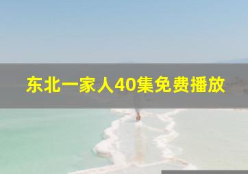 东北一家人40集免费播放