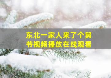 东北一家人来了个舅爷视频播放在线观看