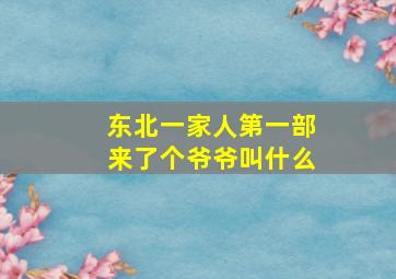 东北一家人第一部来了个爷爷叫什么