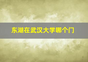 东湖在武汉大学哪个门