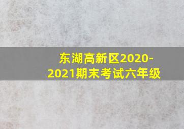 东湖高新区2020-2021期末考试六年级