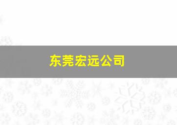 东莞宏远公司