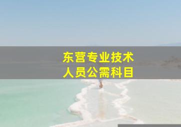 东营专业技术人员公需科目