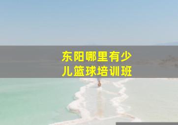 东阳哪里有少儿篮球培训班