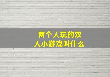 两个人玩的双人小游戏叫什么