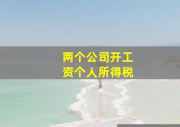 两个公司开工资个人所得税