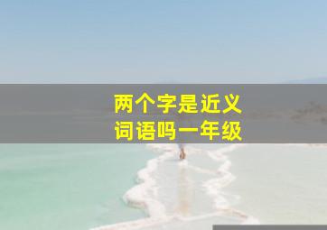 两个字是近义词语吗一年级