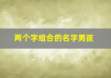 两个字组合的名字男孩