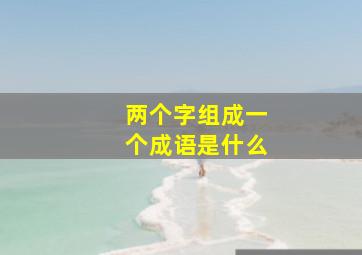 两个字组成一个成语是什么