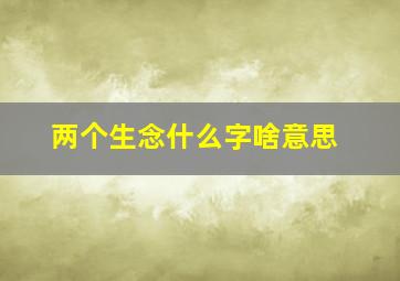 两个生念什么字啥意思