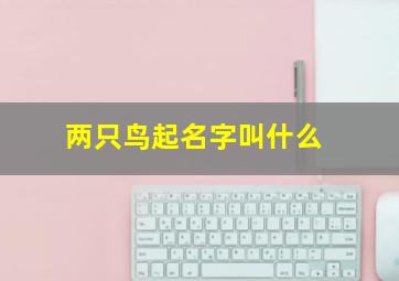 两只鸟起名字叫什么