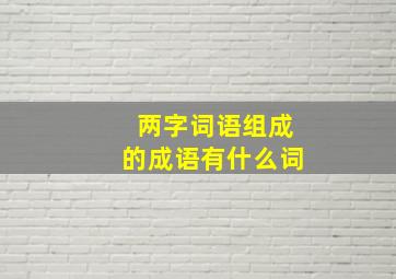 两字词语组成的成语有什么词