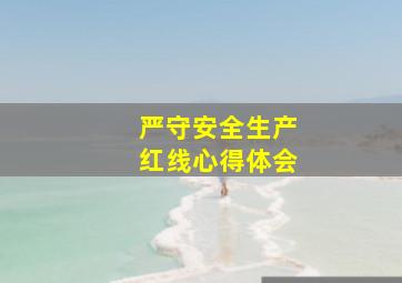 严守安全生产红线心得体会