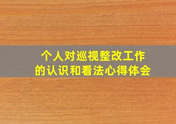 个人对巡视整改工作的认识和看法心得体会