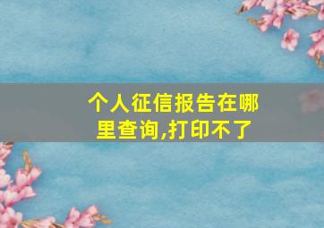 个人征信报告在哪里查询,打印不了