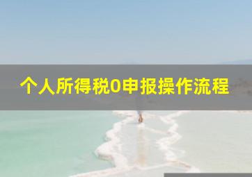 个人所得税0申报操作流程