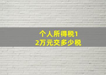 个人所得税12万元交多少税