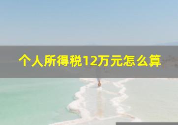 个人所得税12万元怎么算