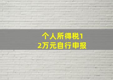 个人所得税12万元自行申报