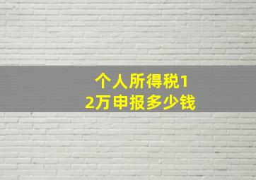 个人所得税12万申报多少钱