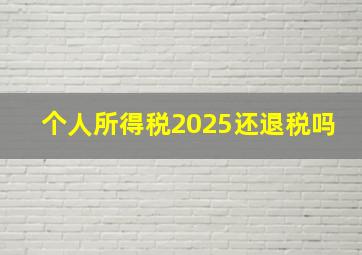 个人所得税2025还退税吗