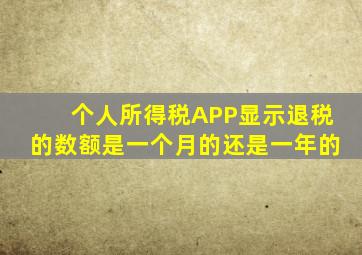 个人所得税APP显示退税的数额是一个月的还是一年的