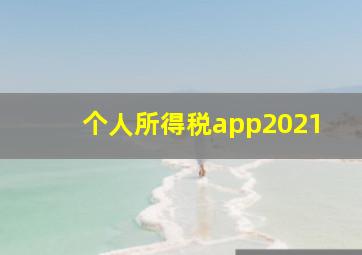 个人所得税app2021