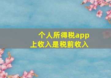 个人所得税app上收入是税前收入