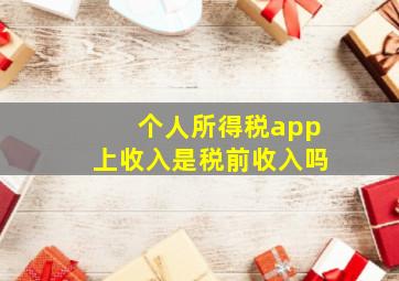 个人所得税app上收入是税前收入吗