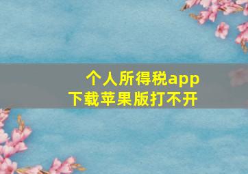 个人所得税app下载苹果版打不开