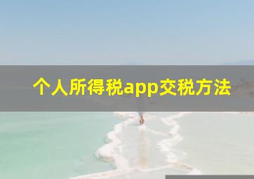 个人所得税app交税方法