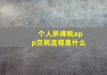 个人所得税app交税流程是什么