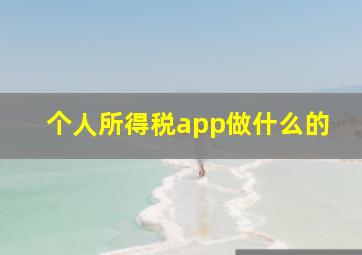 个人所得税app做什么的