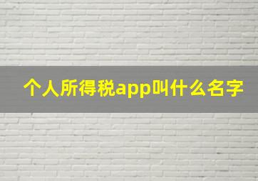 个人所得税app叫什么名字