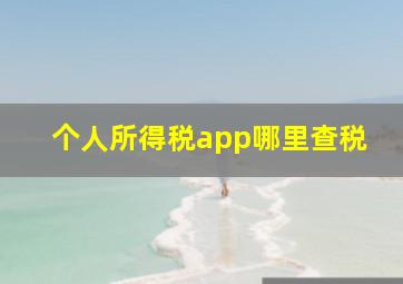 个人所得税app哪里查税