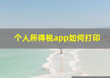 个人所得税app如何打印