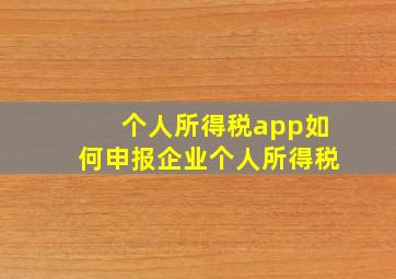 个人所得税app如何申报企业个人所得税