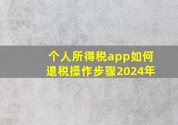 个人所得税app如何退税操作步骤2024年