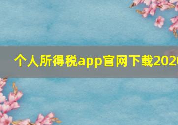 个人所得税app官网下载2020