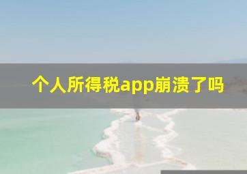 个人所得税app崩溃了吗