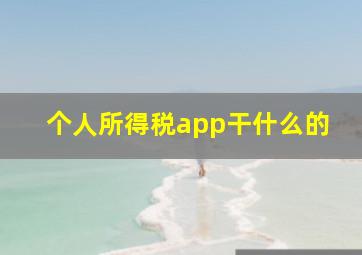 个人所得税app干什么的